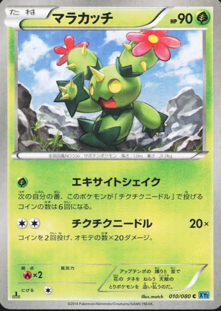 Maractus [1st-Edition]